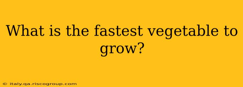 What is the fastest vegetable to grow?