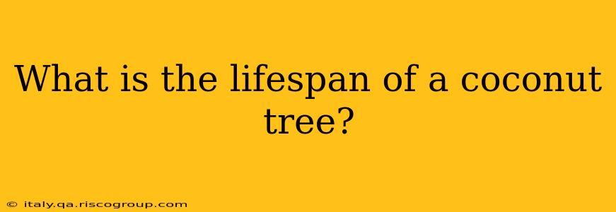 What is the lifespan of a coconut tree?