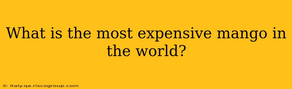 What is the most expensive mango in the world?