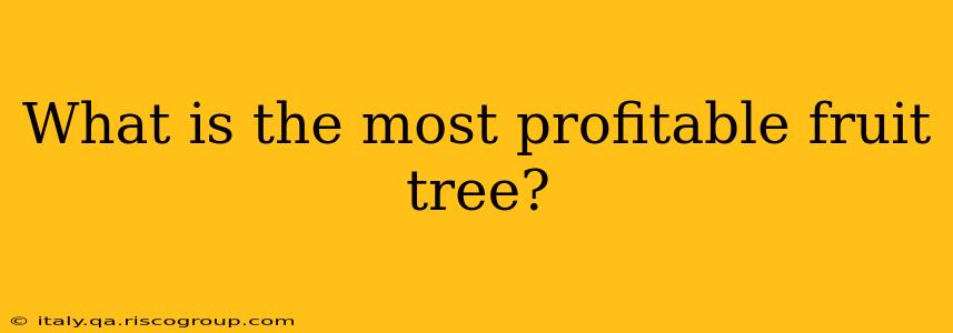 What is the most profitable fruit tree?