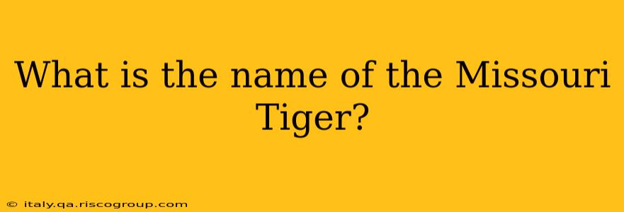 What is the name of the Missouri Tiger?