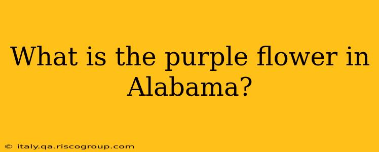 What is the purple flower in Alabama?