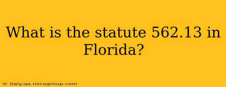 What is the statute 562.13 in Florida?