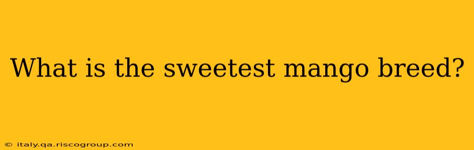 What is the sweetest mango breed?