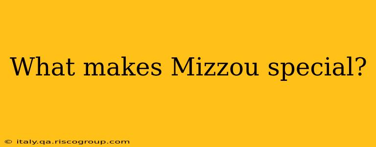 What makes Mizzou special?