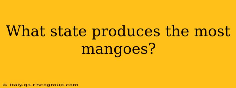 What state produces the most mangoes?