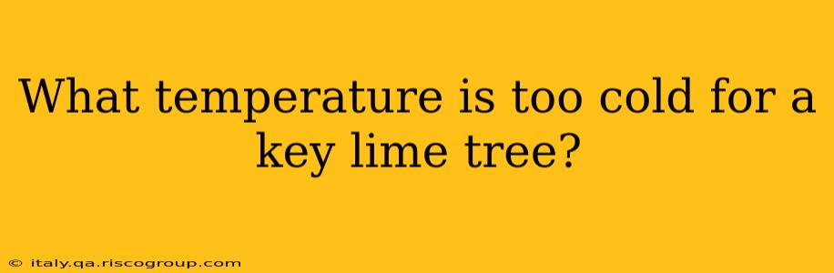 What temperature is too cold for a key lime tree?