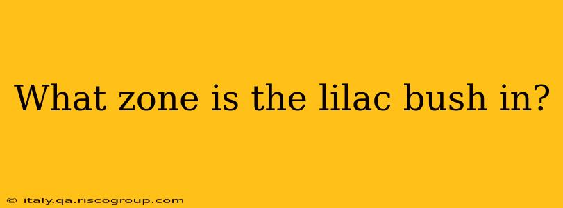 What zone is the lilac bush in?