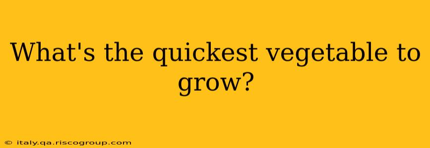 What's the quickest vegetable to grow?