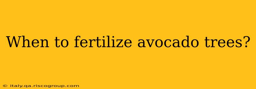 When to fertilize avocado trees?