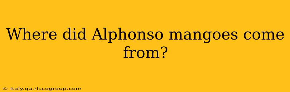 Where did Alphonso mangoes come from?