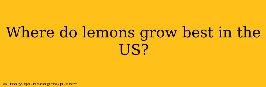 Where do lemons grow best in the US?