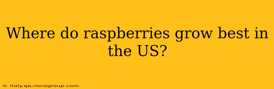 Where do raspberries grow best in the US?