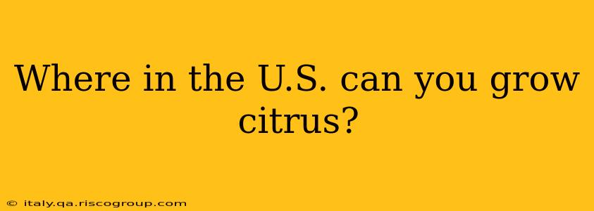 Where in the U.S. can you grow citrus?