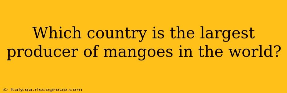 Which country is the largest producer of mangoes in the world?