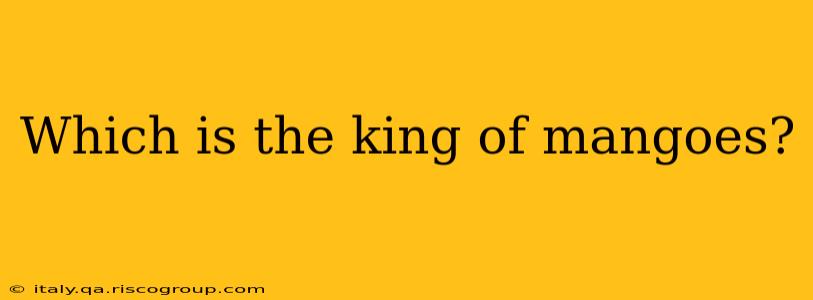 Which is the king of mangoes?