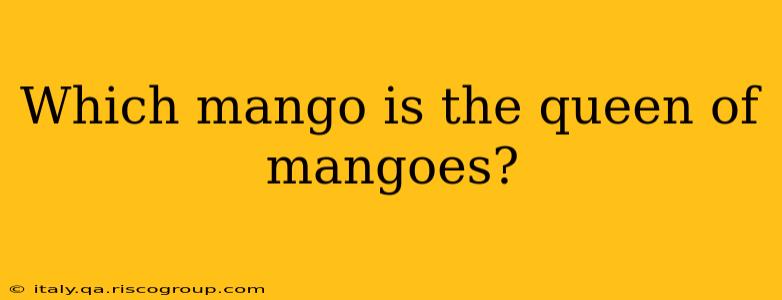 Which mango is the queen of mangoes?