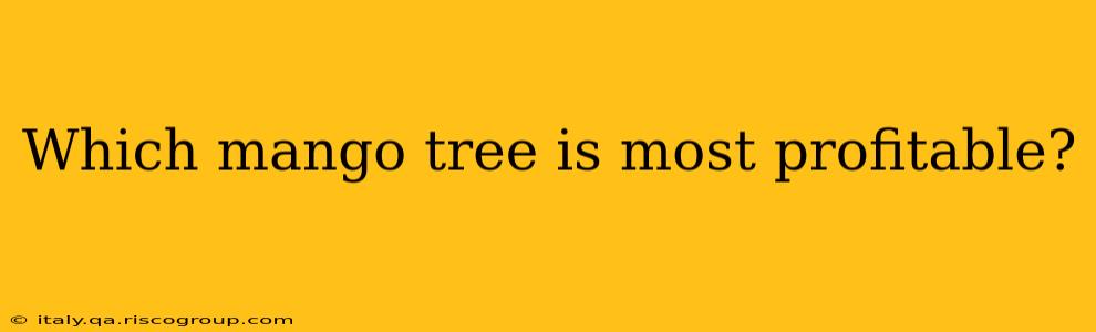 Which mango tree is most profitable?