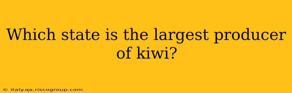 Which state is the largest producer of kiwi?