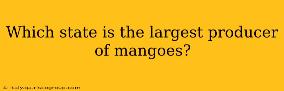 Which state is the largest producer of mangoes?