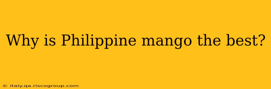 Why is Philippine mango the best?